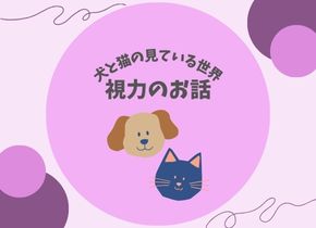 犬と猫の見ている世界～視力のお話～